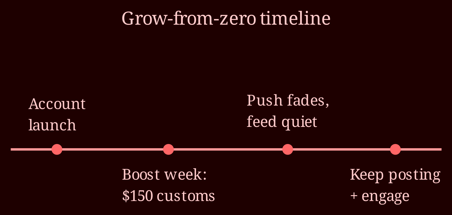 Timeline